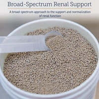 Rx Vitamins Renal Feline Beadlets - Cat Kidney Support with Astragalus Root and Milk Thistle for Cats - Supports Kidney and Immune Health in Cats - 3.52oz