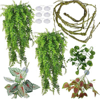 Reptile Plants for Bearded Dragon Tank Accessories - Group Bn