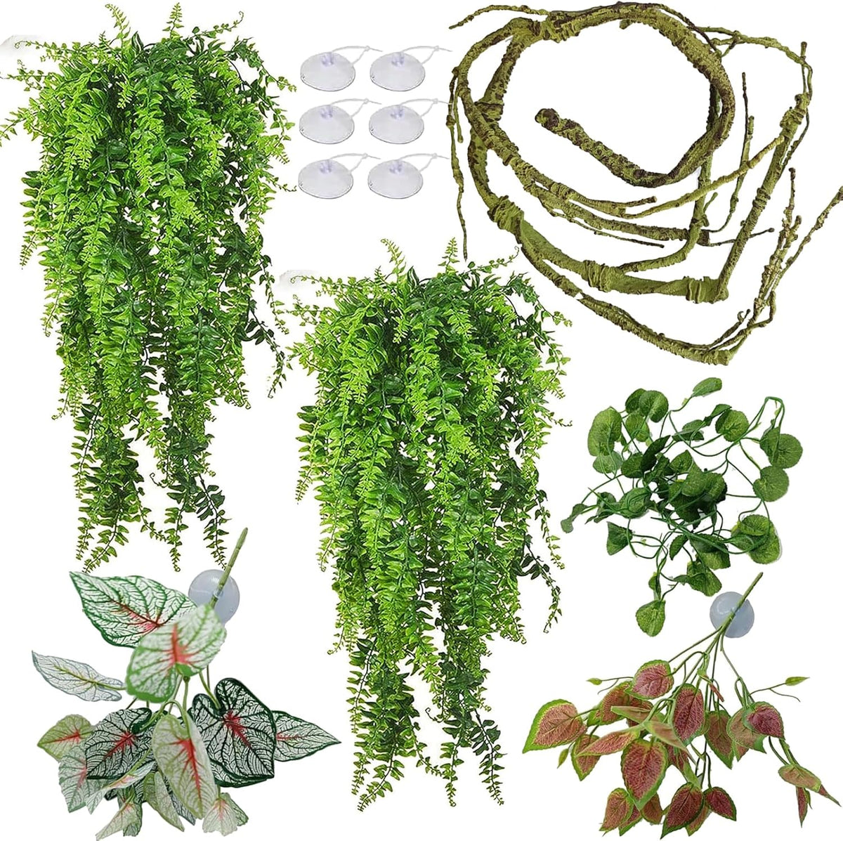 Reptile Plants for Bearded Dragon Tank Accessories - Group Bn