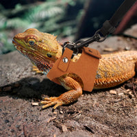 Bearded Dragon Harness Leash Set, 3 Size Lizard Harness - Brown - image 2