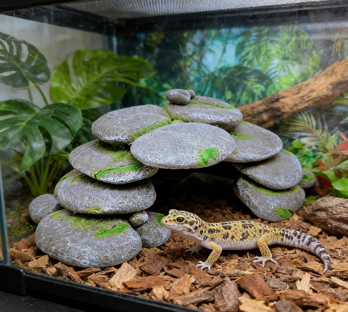 M2cbridge Reptile Hide Resting Step Ledge Cave Hideout Turtle Basking - Pebble Arch Cave - image 2