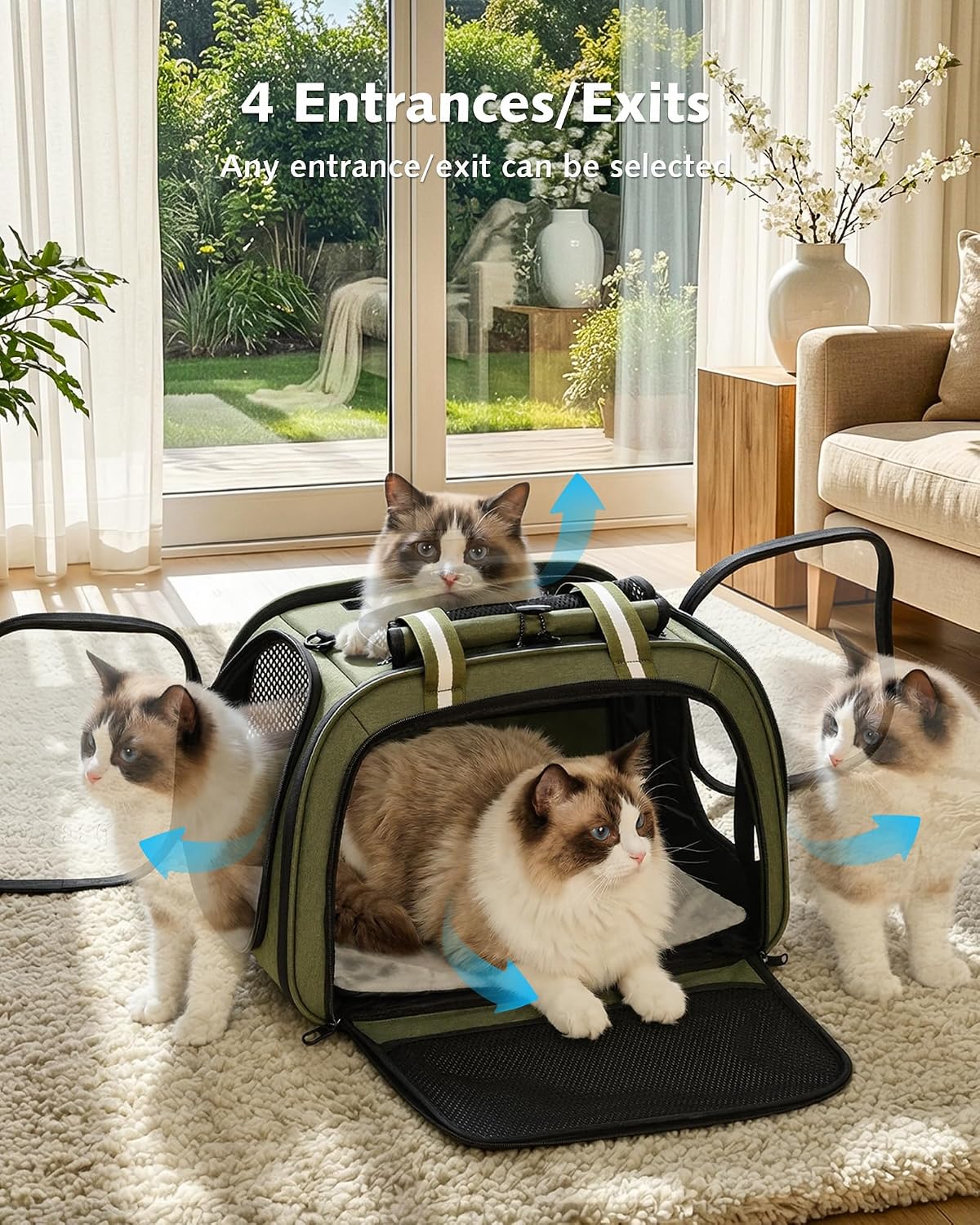 Pecute Cat Carrier, Double Bubble Pet Carrier for Cat Small Dogs - 18"L x 13.5"W x 14"H / Dark Green - image 2