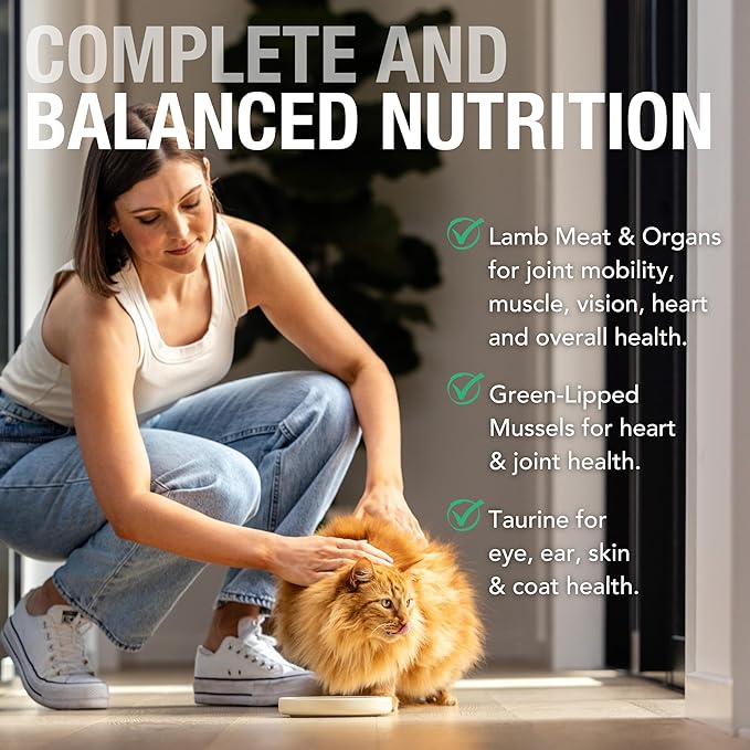 Feline Natural New Zealand Canned Catfood Wet Food, High-Meat, Low-Carb, & Grain Free Cat Food Wet, Lamb Feast, 6 oz, Pack of 12