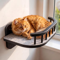 Cat Wall Shelves, Modern Cat Wall Furniture for Indoor Cats - Large / Black, 3 Steps + Perch - image 3