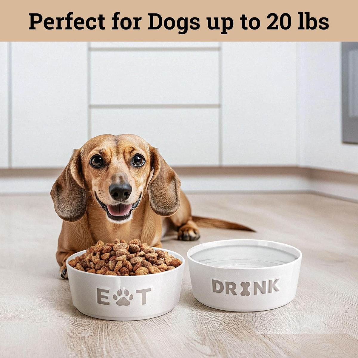 Ceramic Dog Bowl Set of 2 with Anti-Skid Base, 5.5"W x 2"H - Small 5.5" / Gray - image 4