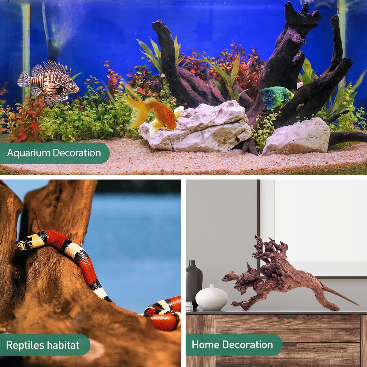 WDEFUN 3 PCS Natural Driftwood for Aquarium Decor Fish Tank - Mopani driftwood （13-17 inch pack of 1） - image 3
