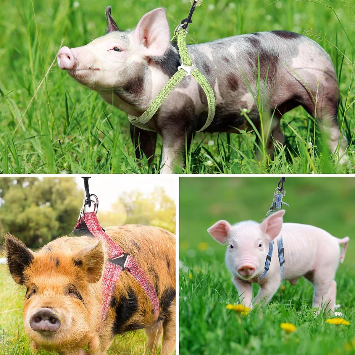 YeeBeny Mini Pig Harness Adjustable with Leash Foam Handle Pink - Green / XL - image 3