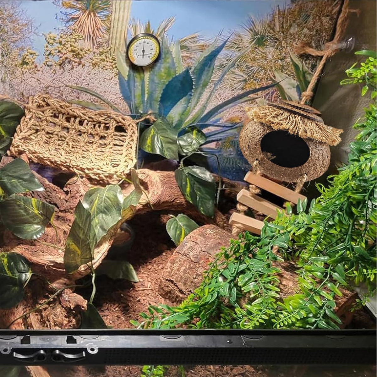 Leopard Gecko Coconut Hut with Ladder - 【Style C】 - image 3