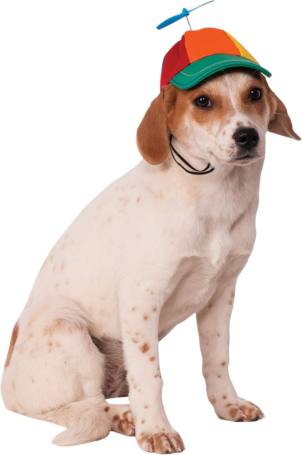 Rubies Propeller Hat Pet Hat for Dogs or Cats, S/M – Essentials for Dogs - Small/Medium / 1
