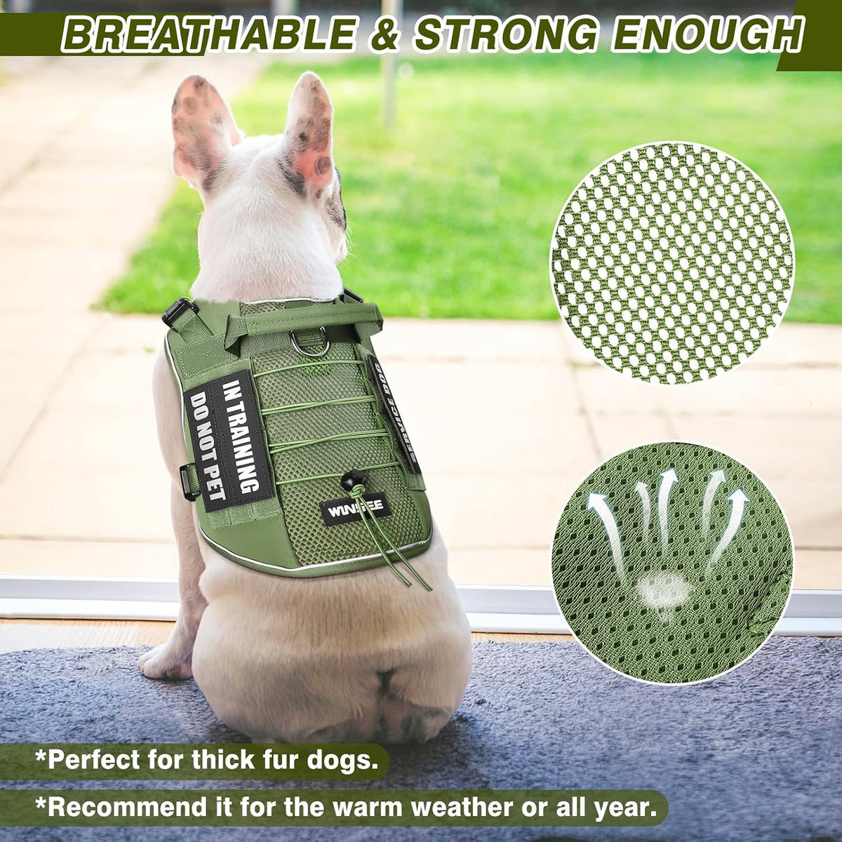 WINSEE Service Dog in Training Mesh Harness with 10 Removale Pet - Large / Green - image 2