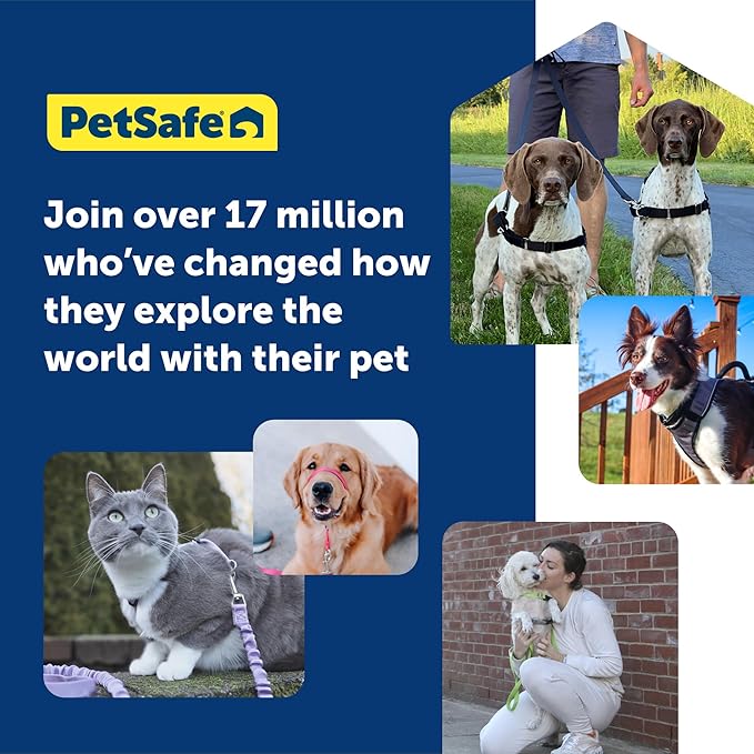 PetSafe 3 in 1 Dog Harness - No Pull Solution for Dogs - Reflective Dog Harness - Front D-Ring Clip Helps Stop Pulling - Comfortable Padded Straps - Top Handle Enhances Control - Plum - Medium