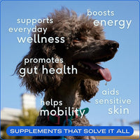 Native Pet The Daily Dog Supplement (60 Scoops) & Salmon Oil for Dogs & Cats (8 Oz) - 11 in 1 Multivitamin & Pure Omega-3 Fish Oil Supplement for Skin & Coat, Joint, Heart Health & Anti-Inflammatory