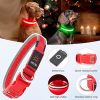 LED Dog Collar, Light Up Dog Collar USB Rechargeable, Brightest Dog Lights for Night Walking, Adjustable Dog Collar Light for Dog Safety (Medium, Ruby Red)