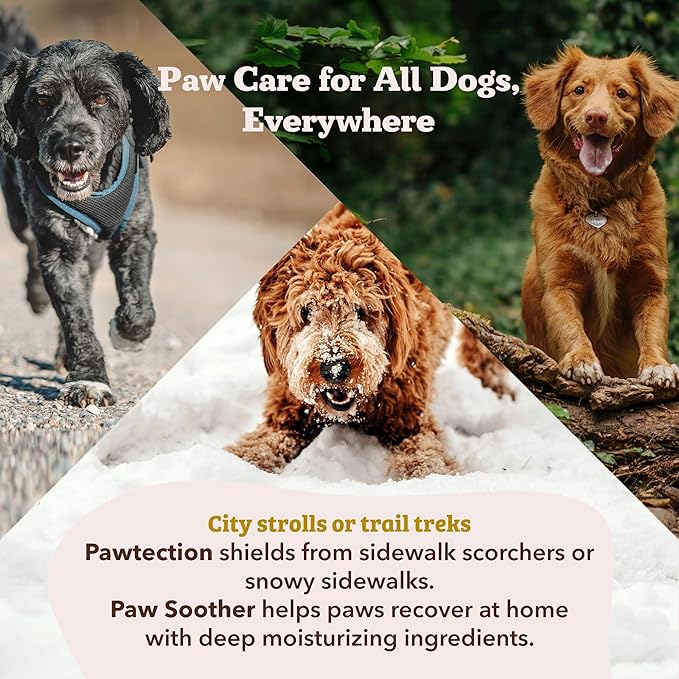 Natural Dog Company PawTection Balm for Dogs, Dog Paw Protector, Moisturizing Dog Paw Balm for Dry, Cracked Pad, Protects Paw from Extreme Weather, Paw Lotion for Allergies & Itching (4 oz Tin)
