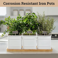 Herb Planter Indoor - 3 Iron Herb Pots with Drainage Holes, Varnished Bamboo Tray, Customizable Labels & Marker Pen - Indoor Herb Garden Planter - 3 Pots for Herbs - Inside Spice Garden - Basil Pot