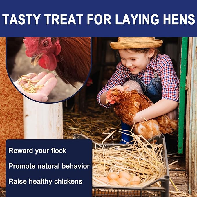 RANZ 2LBS Non-GMO Dried Mealworms for Chickens, High Protein Meal Worms, Premium Chicken Feed, Whole Large Mealworms for Blue Birds, Ducks, Fish