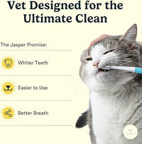Jasper Microbrush Cat Toothbrush, Soft-Bristled Toothbrush Kit for Felines & Small Dogs, Premium Non-Slip Handle with 2 Replaceable Tooth Brush Heads, Use with Cat Toothpaste