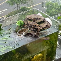 Turtle Basking Platform,Resin Bearded Dragon Basking Platform Reptile Habitat Cave Climbing Ramp - Slope / Gray - image 2
