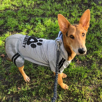 Dog Hoodie Security Clothes 4 Legs Jumpsuit Sweatshirt Hoodies Soft - Grey / X-Large - image 3