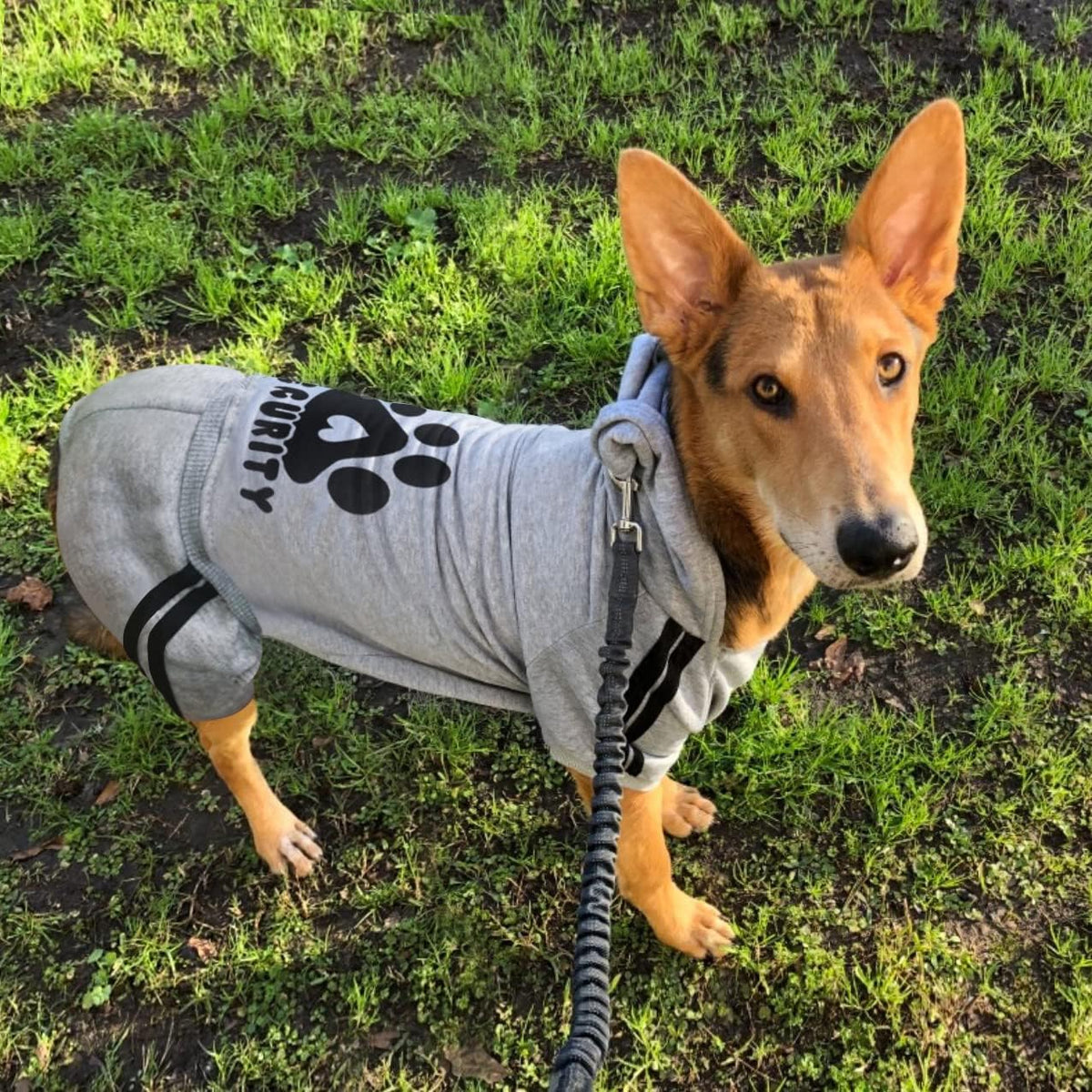 Dog Hoodie Security Clothes 4 Legs Jumpsuit Sweatshirt Hoodies Soft - Grey / X-Large - image 3