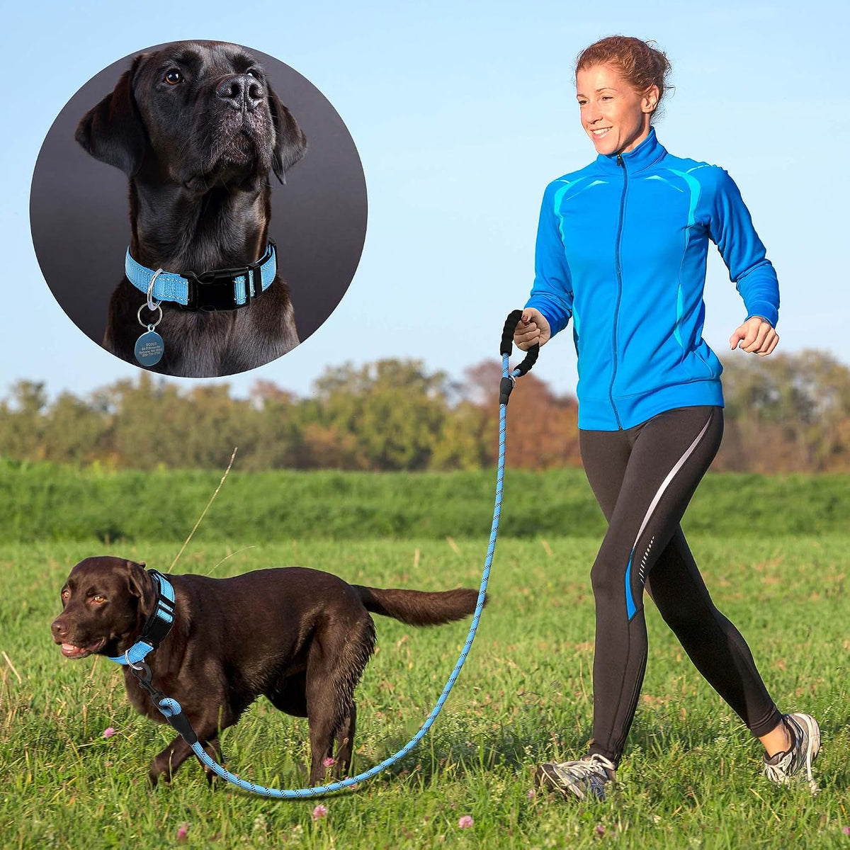 Ladoogo Reflective Dog Collar Padded with Soft Neoprene - Blue / Small - image 4