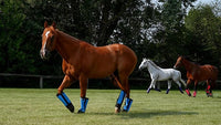 Warrior Fly Boots for Donkeys, Ponys, or Yearlings - Breathable Mesh Horse Boots for Fly Protection & Leg Comfort - Set of 4 (Mighty Warrior, Gray)