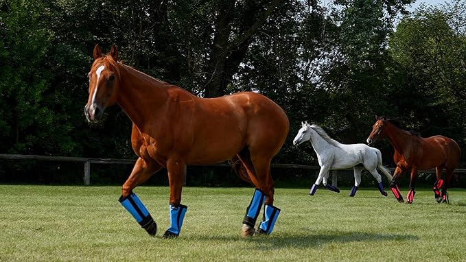 Warrior Fly Boots for Horses - Breathable Mesh Horse Boots for Fly Protection & Leg Comfort - Set of 4 (Trojan Warrior, Neon Orange)