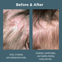 Dead Sea Spa Magik Hair Conditioner - Moisturizing, Natural, Organic Hair Care with Dead Sea Minerals & Coconut Oil