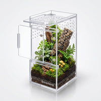 Smartang pre-assembled two-door clear acrylic jumping spider enclosure