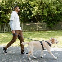 Chain Dog Leash, Bite-Proof Metal Leash - Blue / 5.2FT(80-150lb) - image 3
