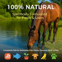 Muck Clear - 5LB Beneficial Bacteria for Ponds & Lake, Boost Enzymes, Sludge Odor Away, Outdoor Fish Pond Water Clarifier, Safe for Aquatic Life, Treats Up to 30,000 Sq Ft
