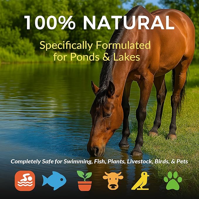 Muck Clear - 5LB Beneficial Bacteria for Ponds & Lake, Boost Enzymes, Sludge Odor Away, Outdoor Fish Pond Water Clarifier, Safe for Aquatic Life, Treats Up to 30,000 Sq Ft