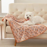 Luciphia Dog Blanket 3 Pack - 41x31 inch (Pack of 3) / Paw - image 3