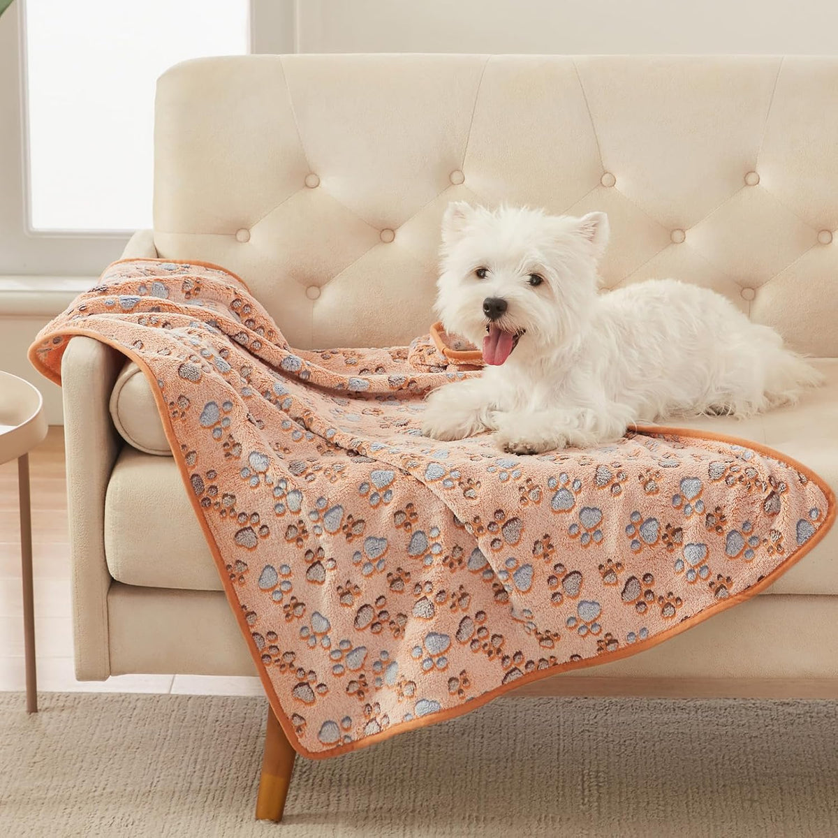 Luciphia Dog Blanket 3 Pack - 41x31 inch (Pack of 3) / Paw - image 3