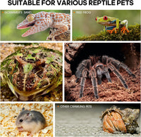 Acrylic Jumping Spider Enclosure, Insect Terrarium for Spiders - Small (Pack of 3) - image 4