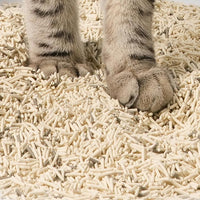 Lady N Pellet Tofu Cat Litter Boba Tea Scent, Strong Clumping, Ultra Absorbent, Dust-Free, Low Tracking, Water-Soluble, Natural Ingredients, Enviro-Probiotic Odor Control 9lb
