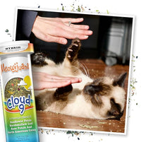 Meowijuana Rainbow Bundle | Get Kickin' Refillable Rainbow Toy and Cloud 9 Catnip Blend | Promotes Play and Cat Health | Includes North American Organic Catnip