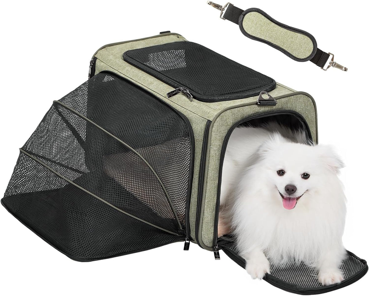 Petsfit Medium Expandable Cat Carrier for Air Travel - 19.0"L x 12.0"W x 12.0"H / Green