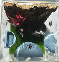 2 Pack Jumping Spider Accessories Mushroom Ledges & 1 Pack Water Bowl - Silver - image 2