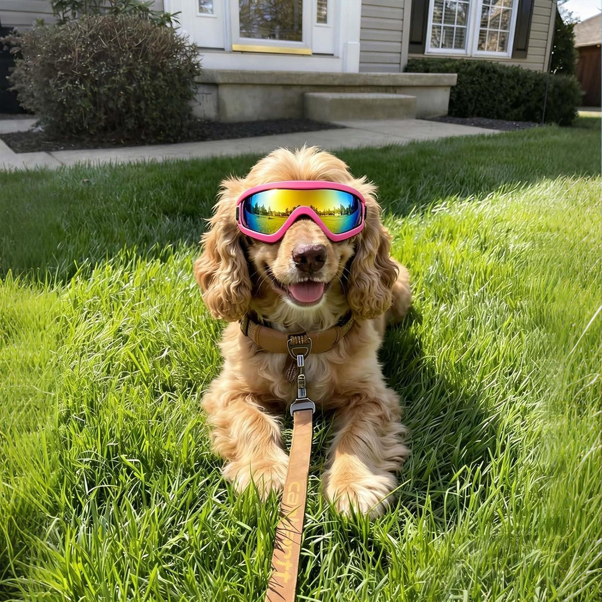 Medium Clear Dog Goggles Eye Protection - Classic Pink / Medium - image 3