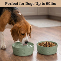 Ceramic Dog Bowl Set of 2 with Anti-Skid Base, 5.5"W x 2"H - Medium / Sage Green - image 3