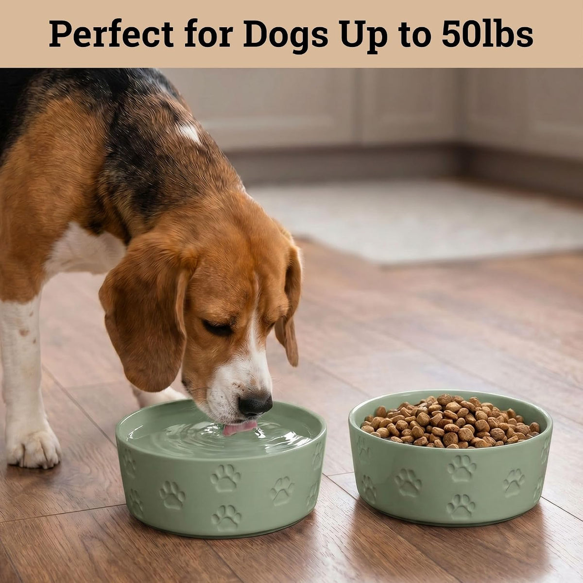 Ceramic Dog Bowl Set of 2 with Anti-Skid Base, 5.5"W x 2"H - Medium / Sage Green - image 3