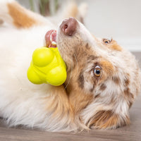 Hyper Pet Fetching Dog Toys - One Size / Bumpy Ball - image 3