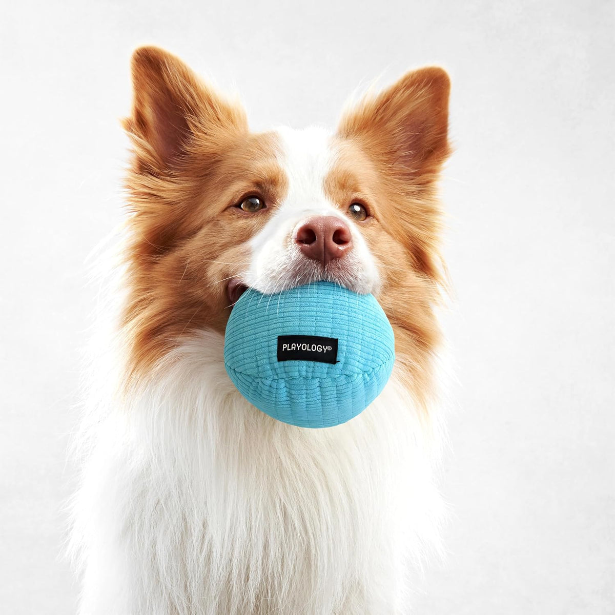Playology Durable Plush Bone Toy, Squeaky Bone, Jumbo - Medium Ball / Peanut Butter - image 3