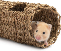 Niteangel Creative & Composable Hamster Tunnel: Edible Water Hyacinth - HC - image 2