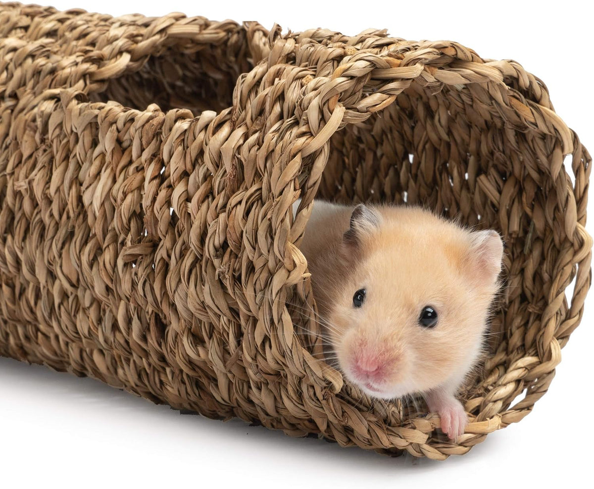 Niteangel Creative & Composable Hamster Tunnel: Edible Water Hyacinth - HC - image 2