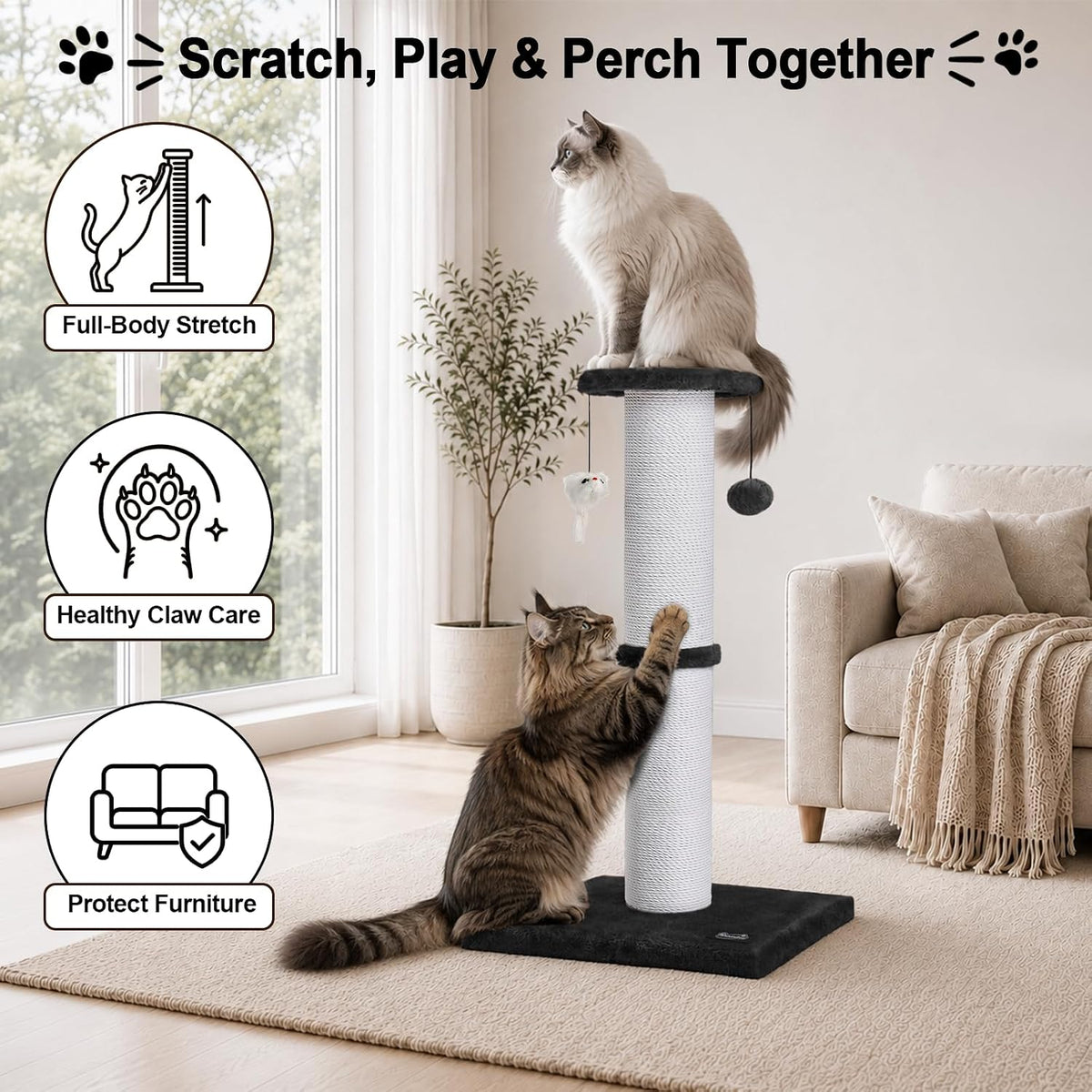 34-Inch Tall Cat Scratching Post for Large Cats, Stable Base - Black - image 3