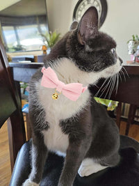 Breakaway Cat Collar with Bow Tie and Bell Adjustable Soft Corduroy - Small: Neck 7.5" - 11.0" / Pink - image 4