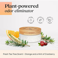 Azuna Air Freshener & Odor Eliminator for Strong Odor | 2 Room Kit Includes (2) Empty Luxe Glass Jar & 12oz Gel Refill with Tea Tree Essential Oil | Simply Citrus | Last 60-90 Days