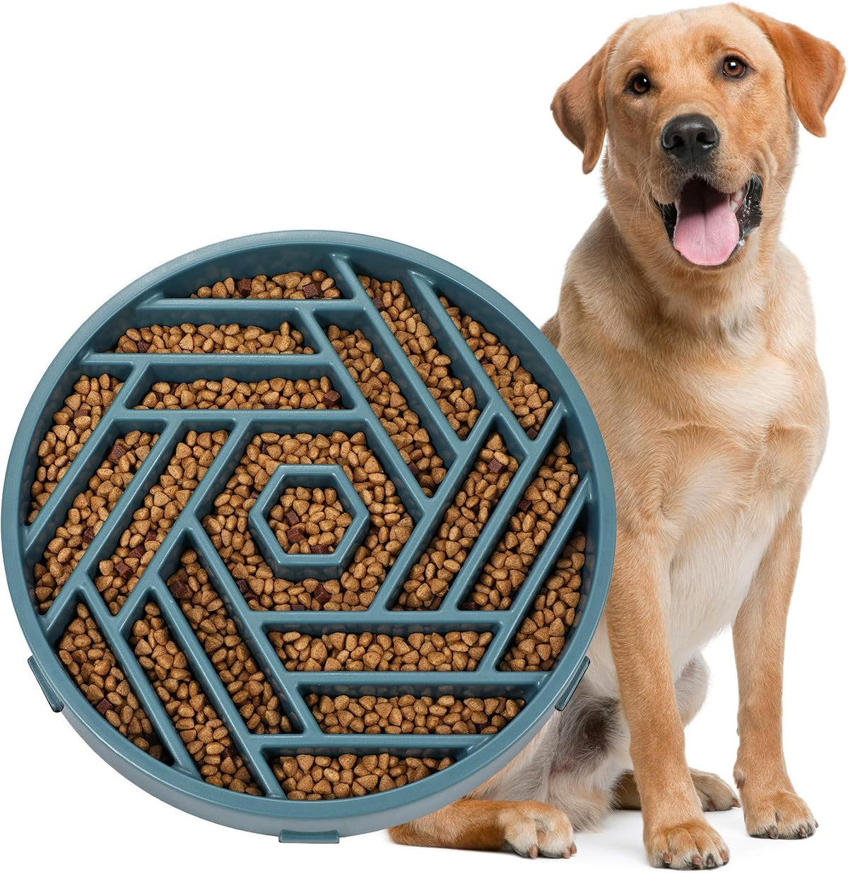 WHIPPY Slow Feeder Dog Bowl - navy blue